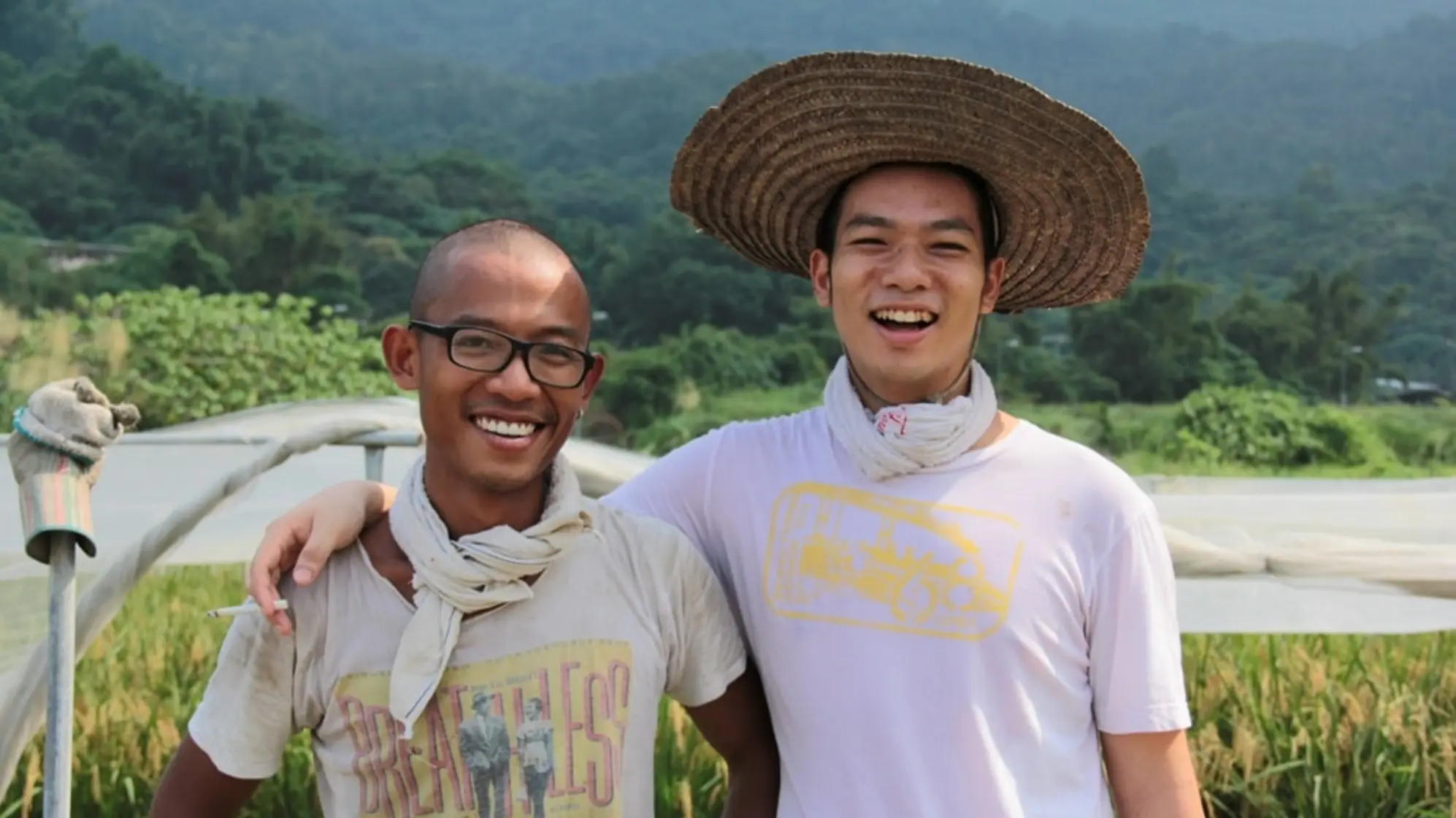 The Way of Paddy backdrop