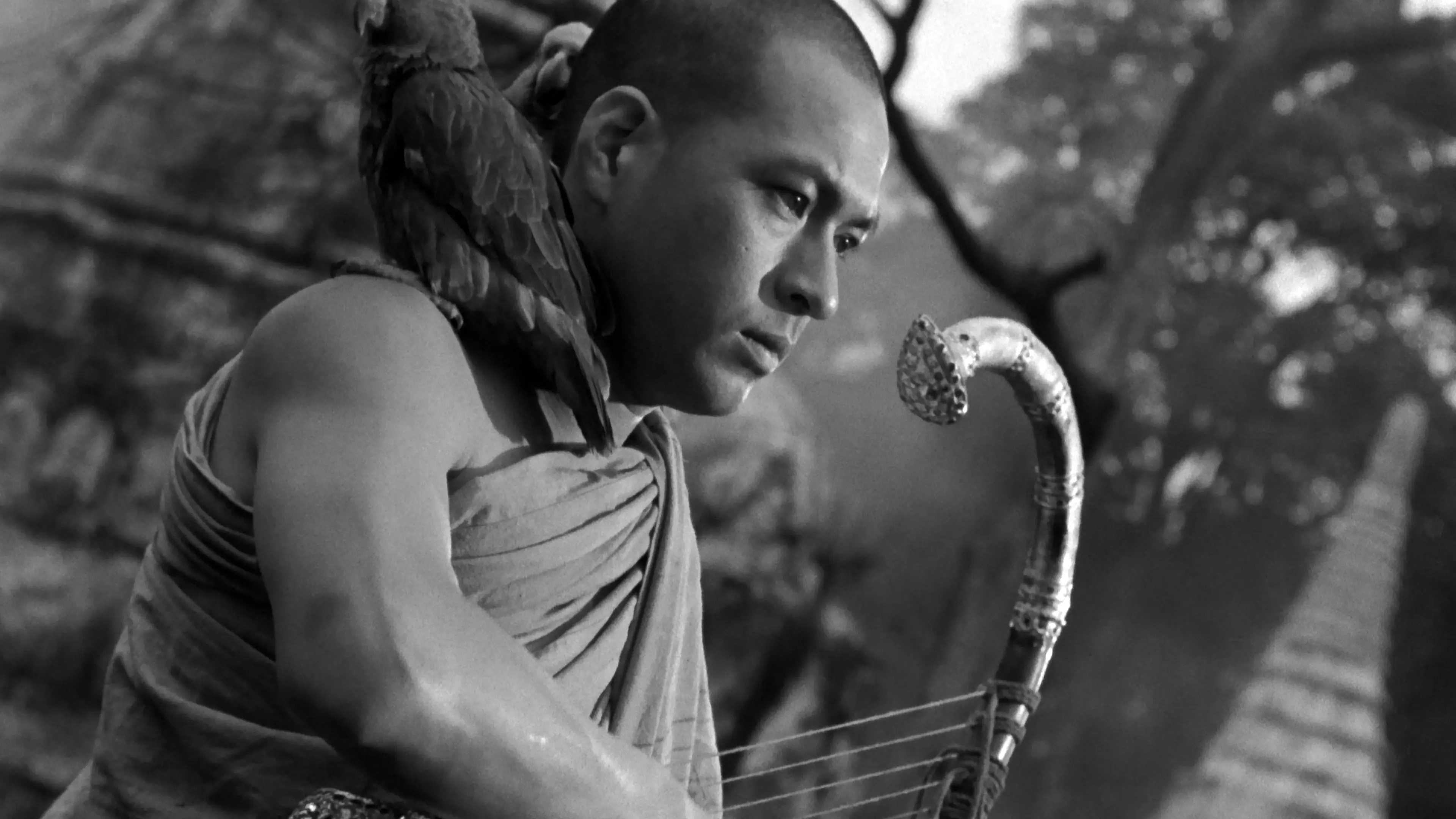 The Burmese Harp backdrop