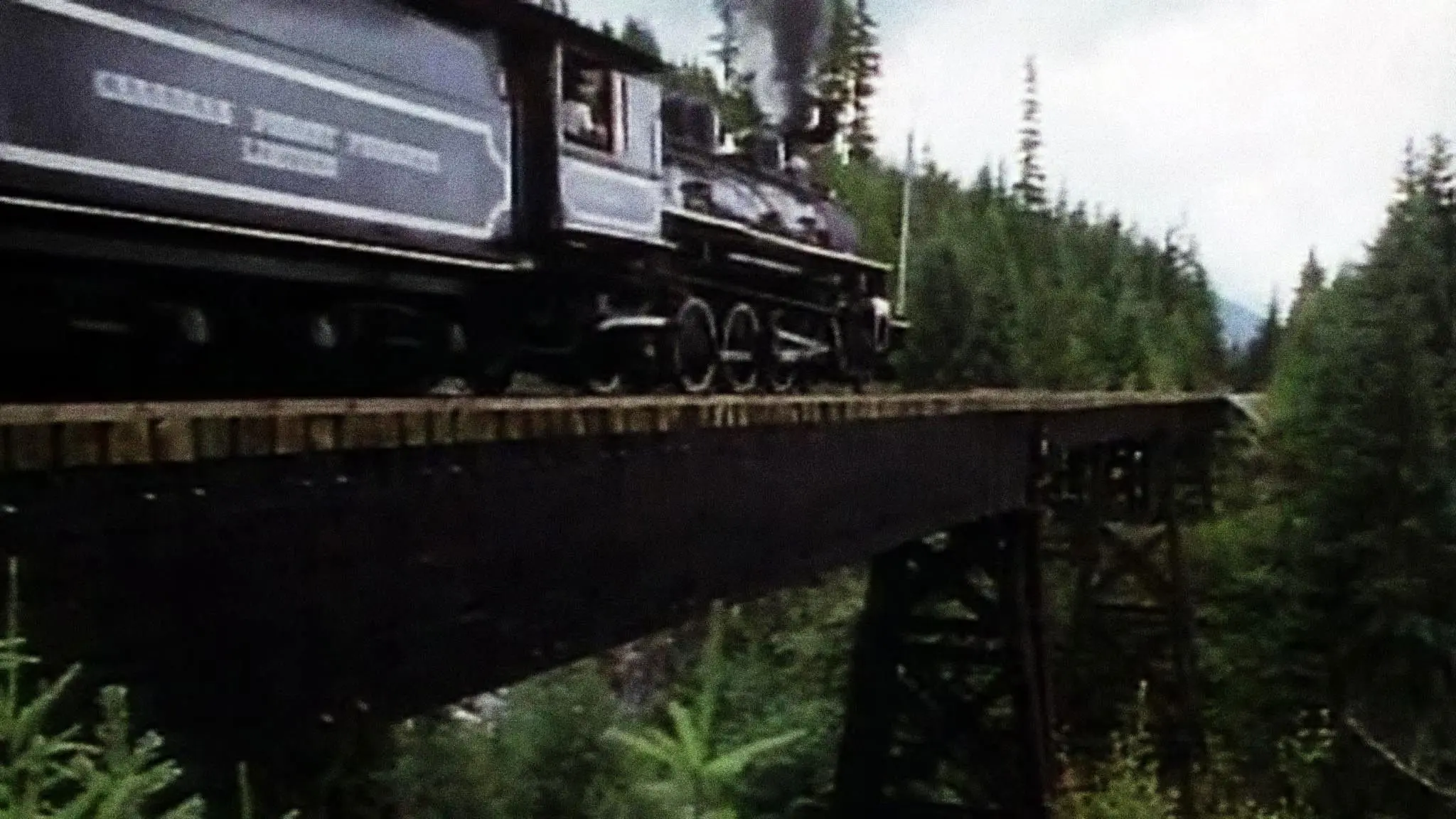 Battle for the Trees backdrop