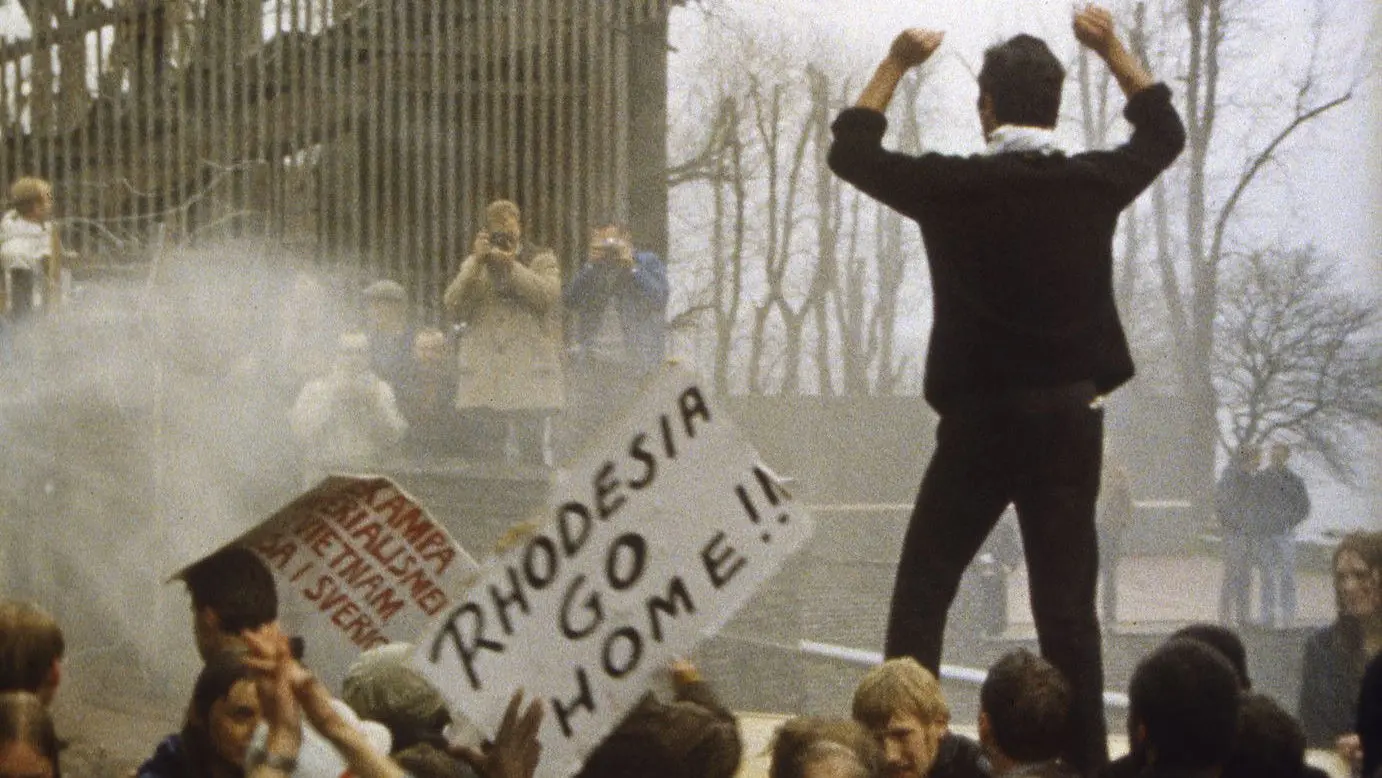 The White Game backdrop