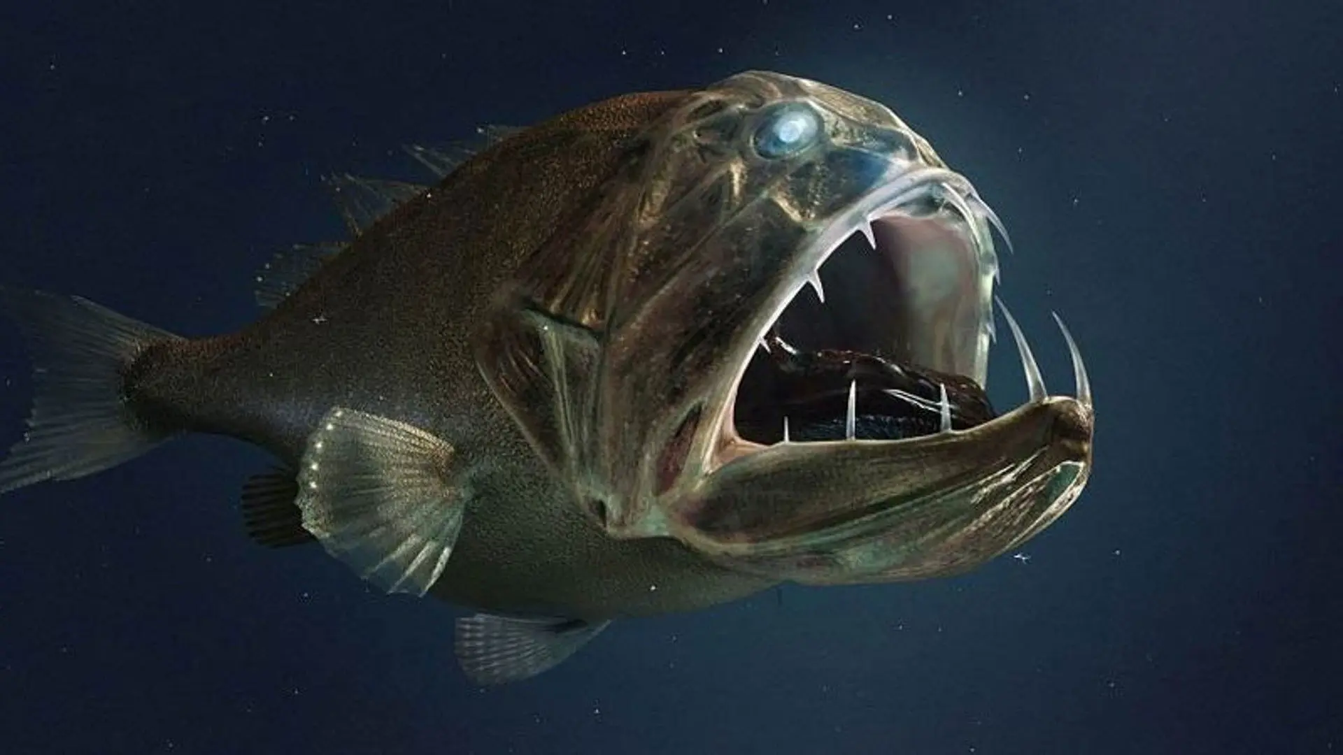 Voyage dans les abysses backdrop