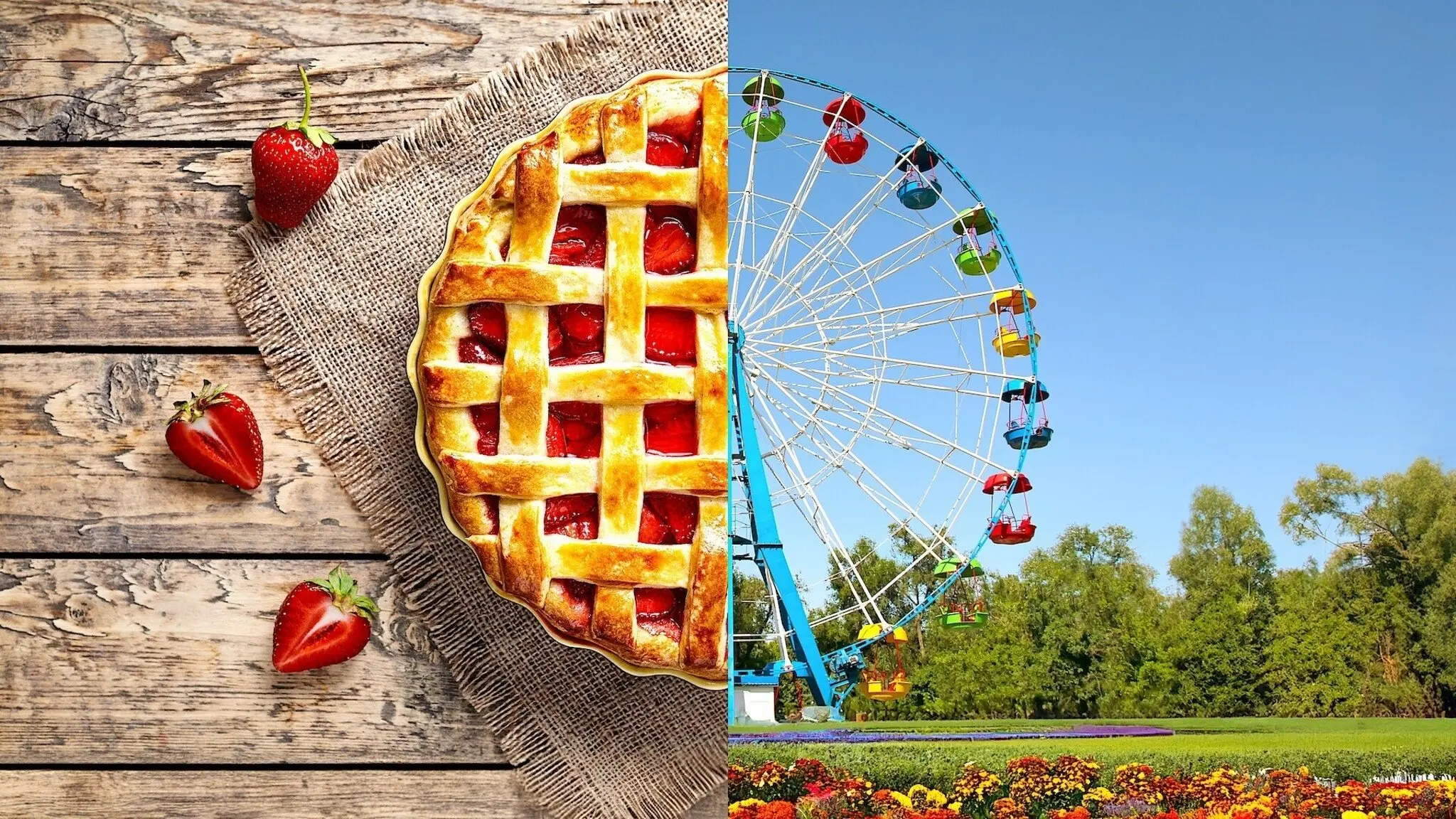 Blue Ribbon Baking Championship backdrop