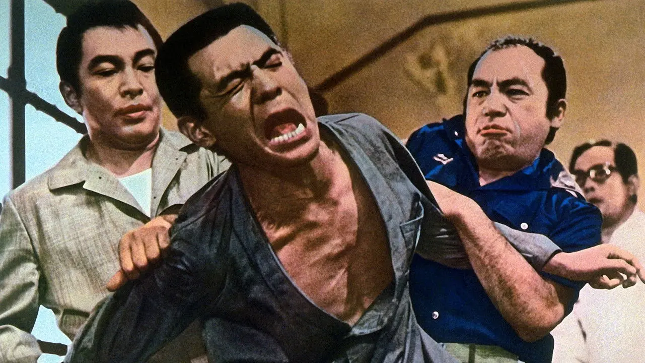 The Viper Brothers Rage Again backdrop