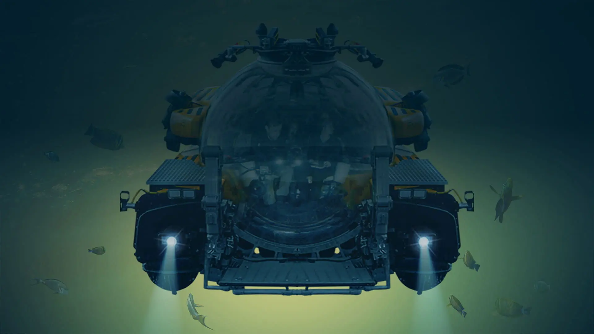 OceanXplorers backdrop