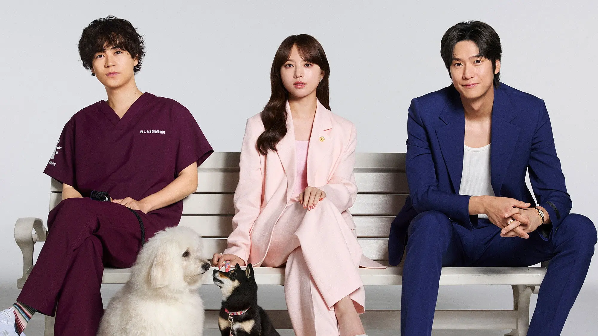 Love Is for the Dogs backdrop