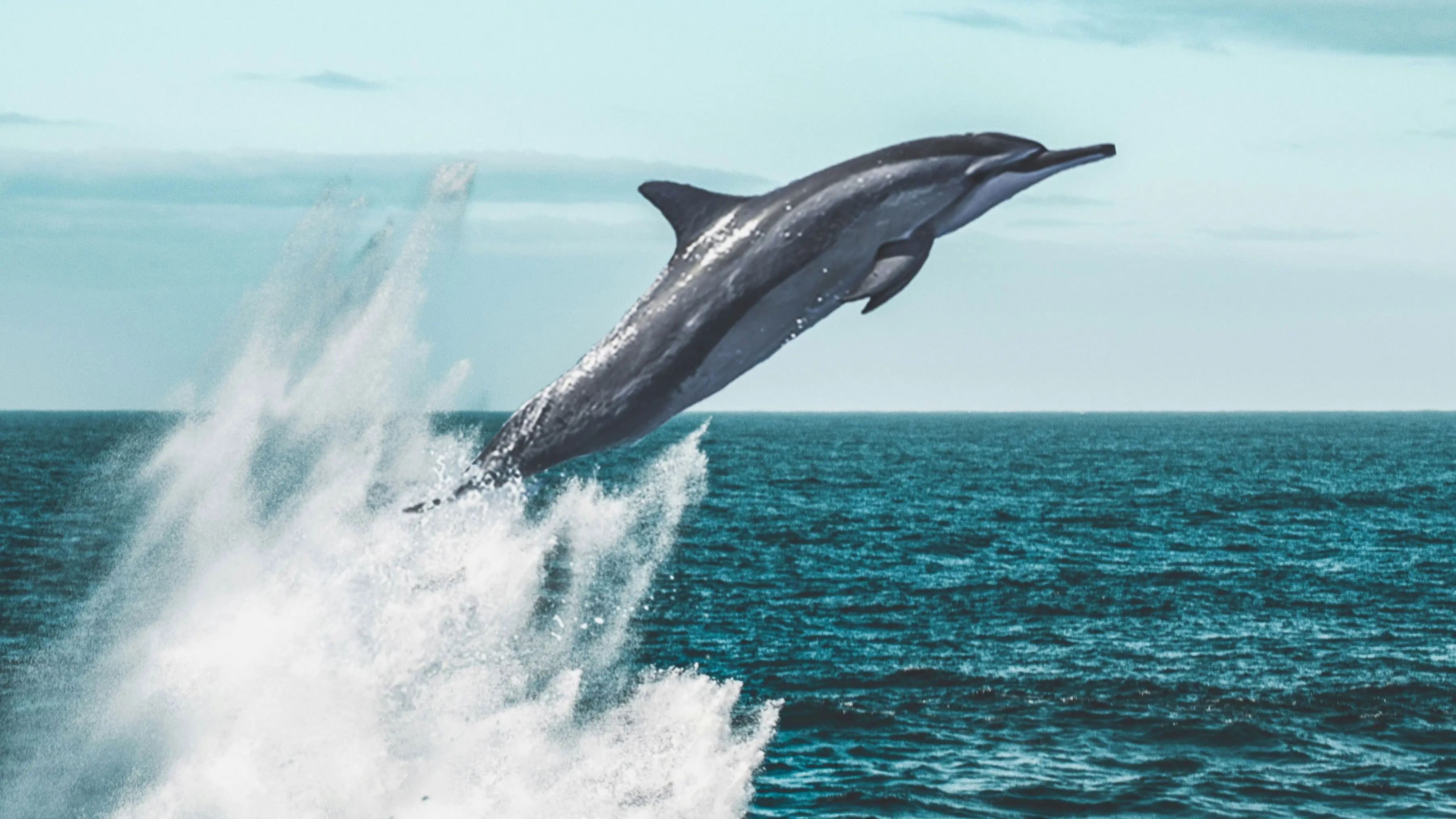 Living Waters backdrop