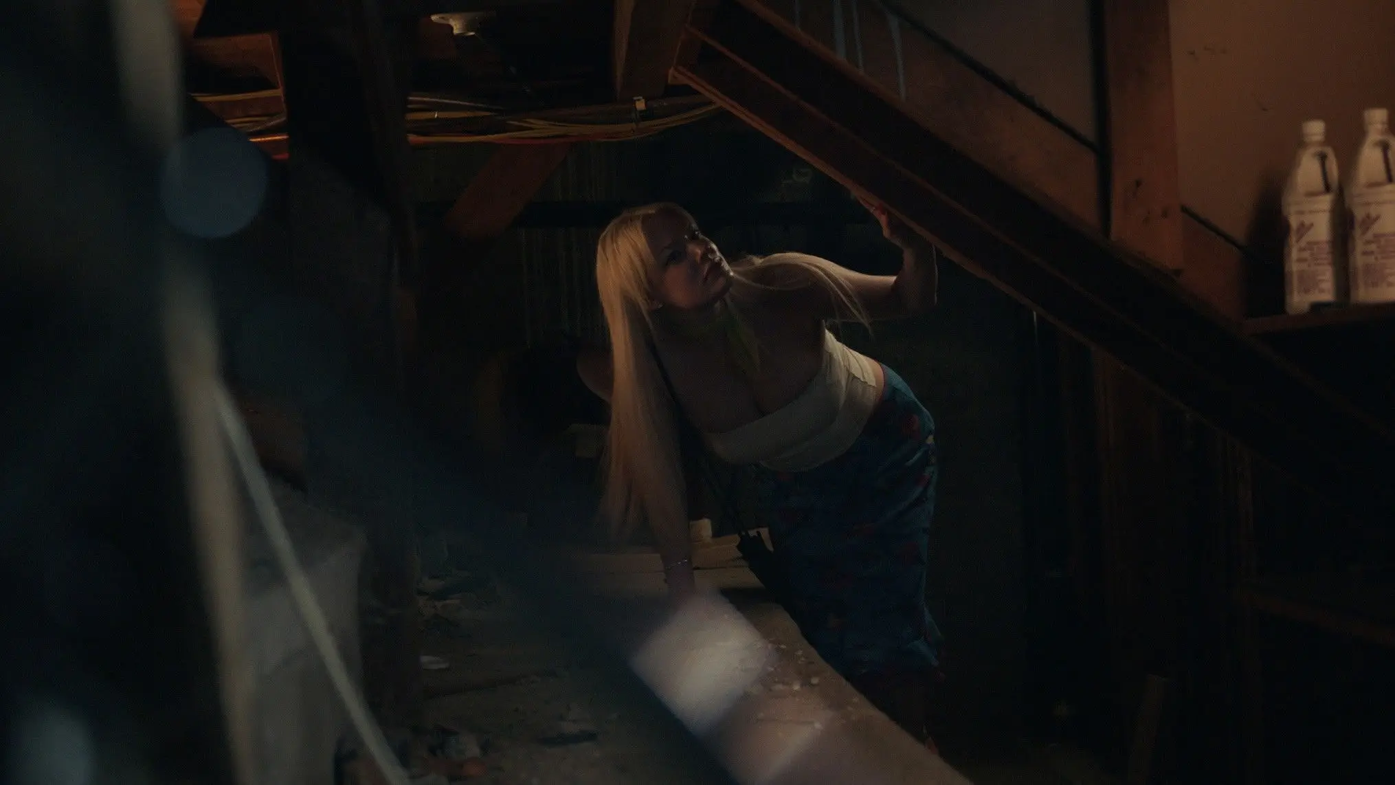 Upside Down Pineapple backdrop