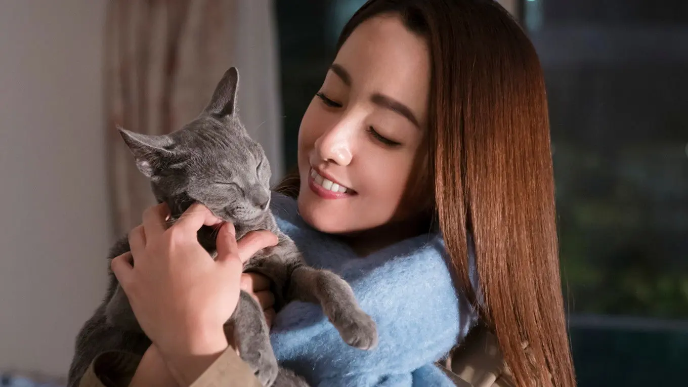 The Cat in Their Arms backdrop