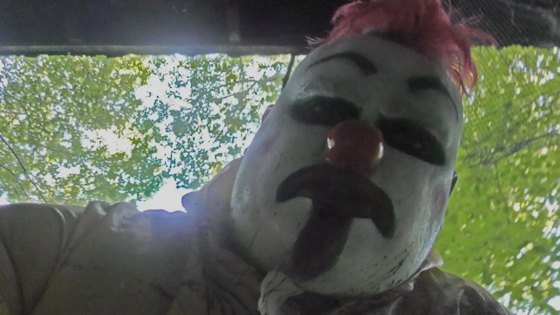 Cold Case #17-76466 backdrop