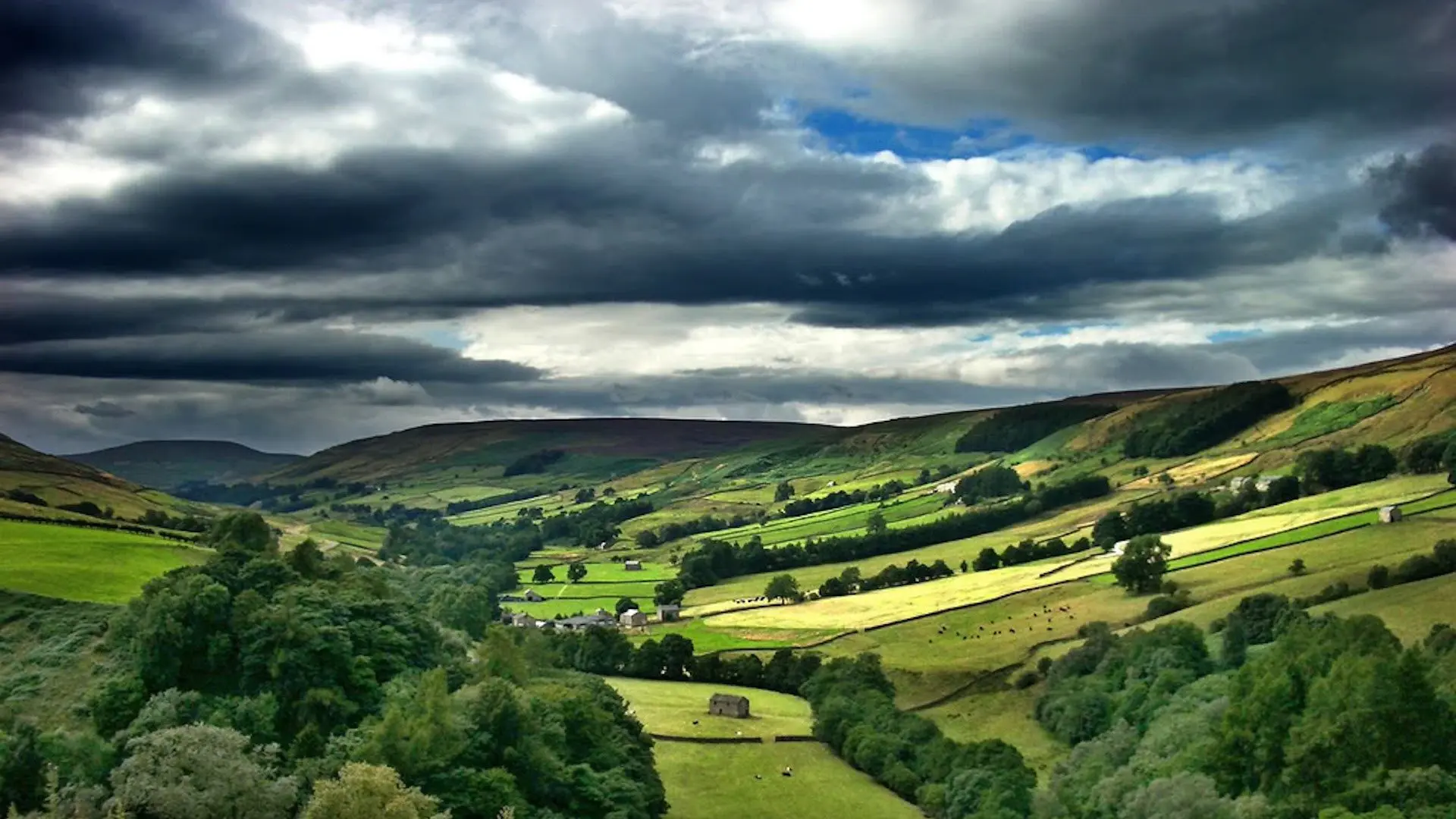 Grand Designs: House of the Year backdrop