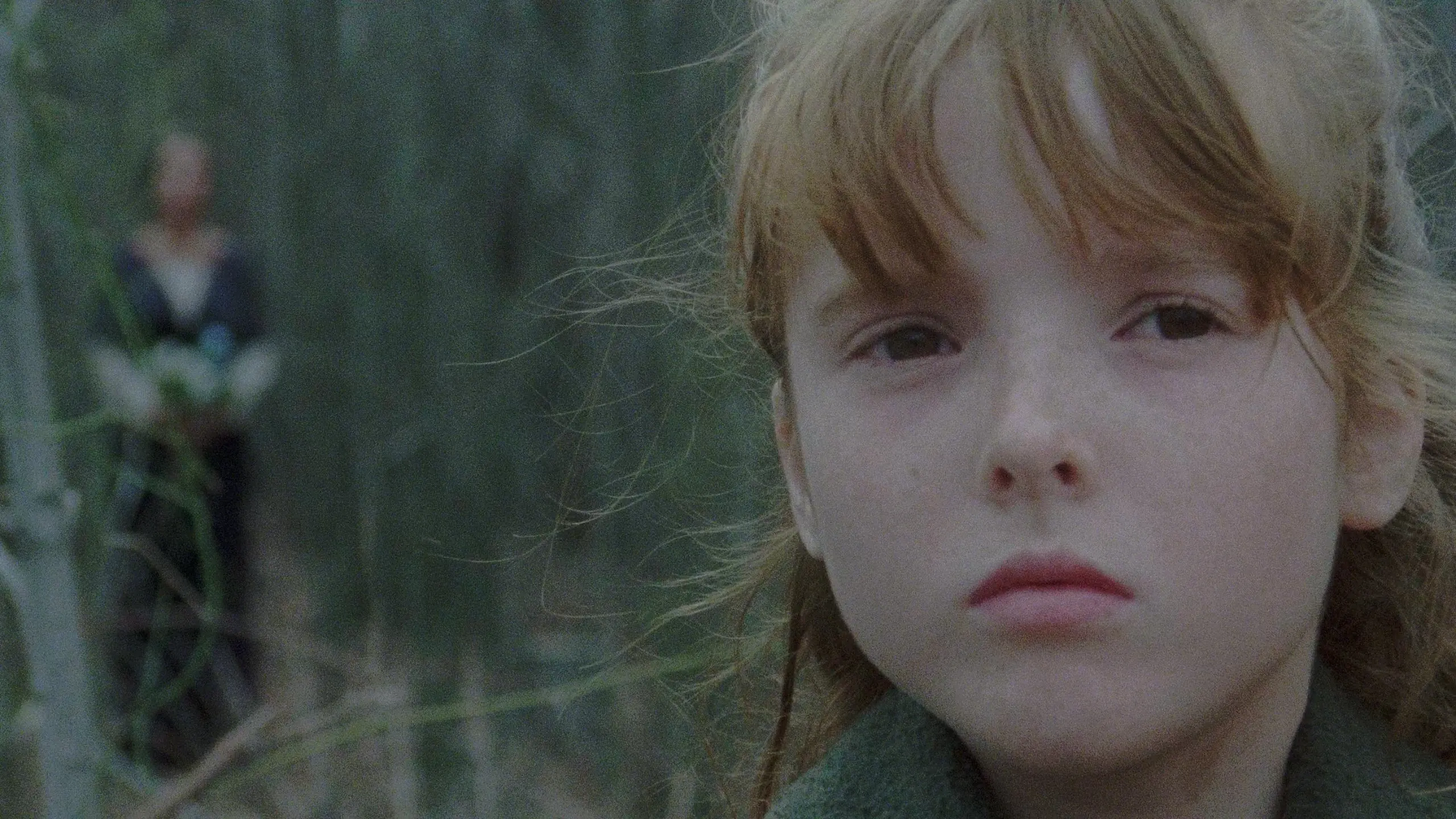 The House by the Cemetery backdrop