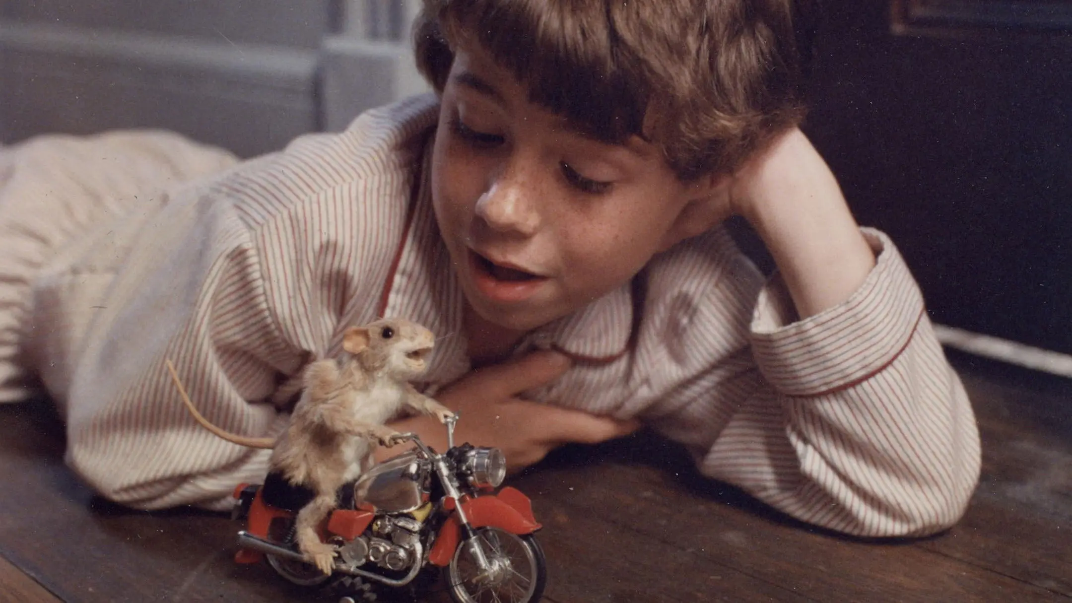 The Mouse and the Motorcycle backdrop