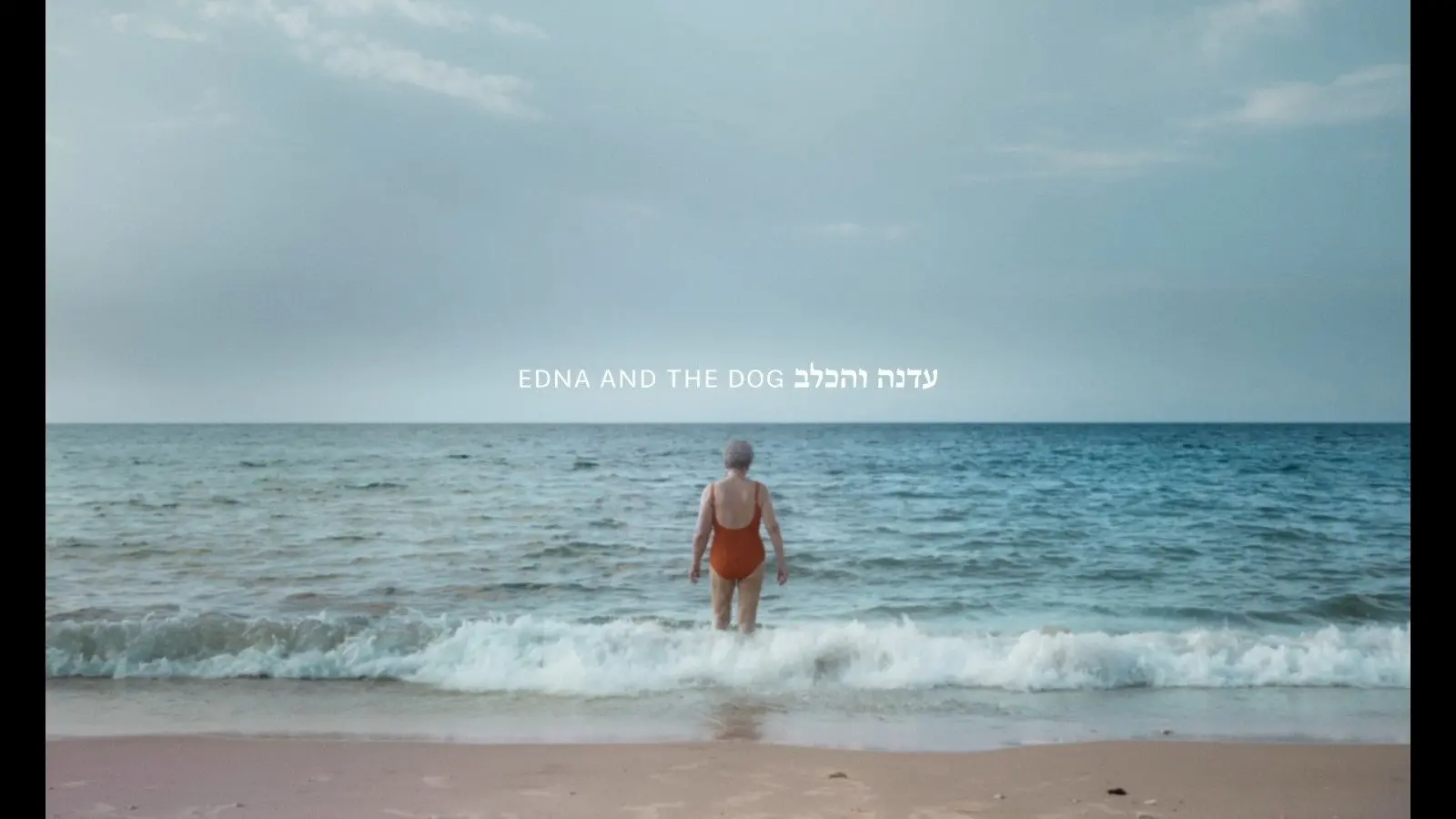 Edna and the Dog backdrop