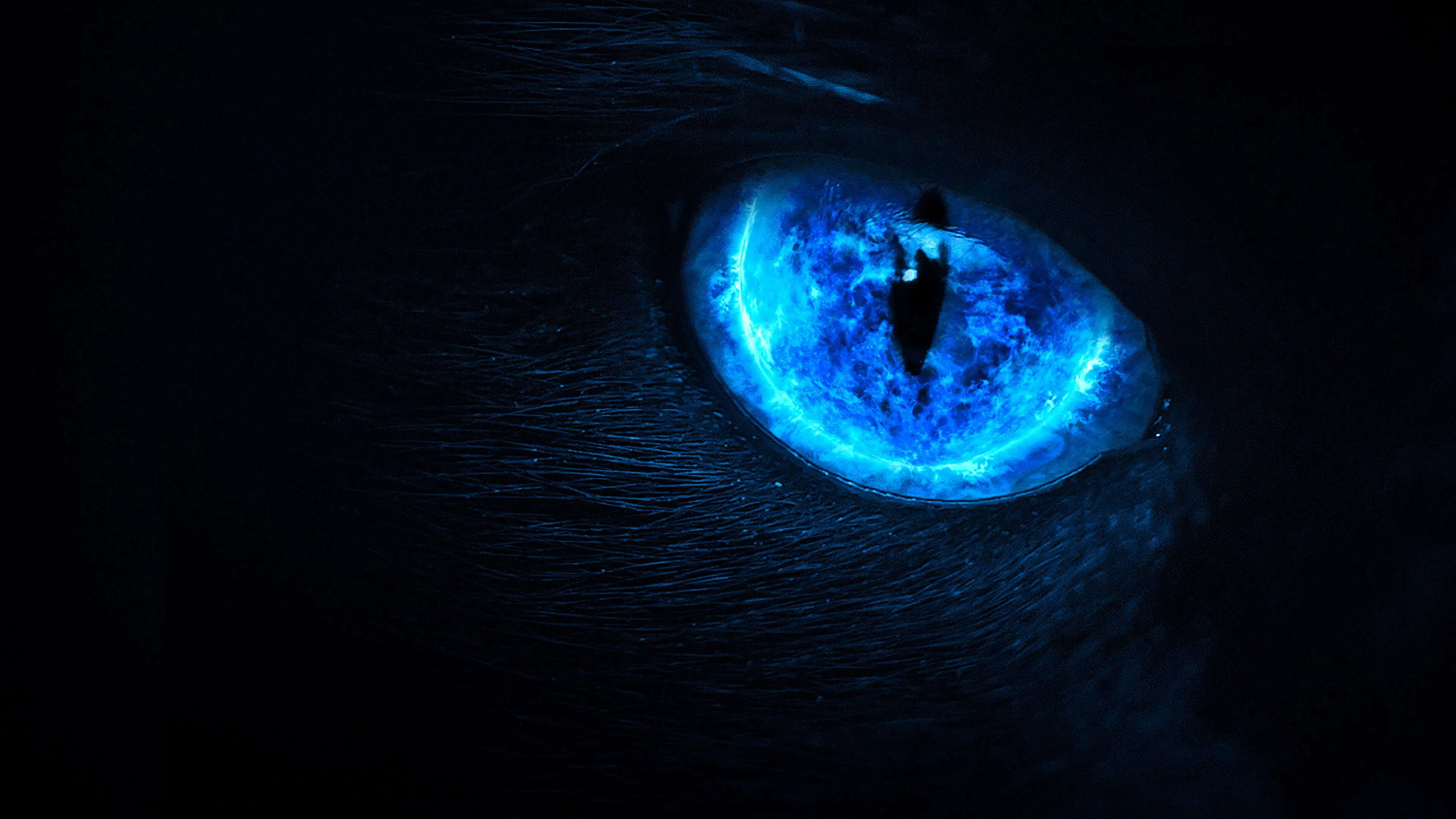 Eli Roth Presents: My Possessed Pet backdrop