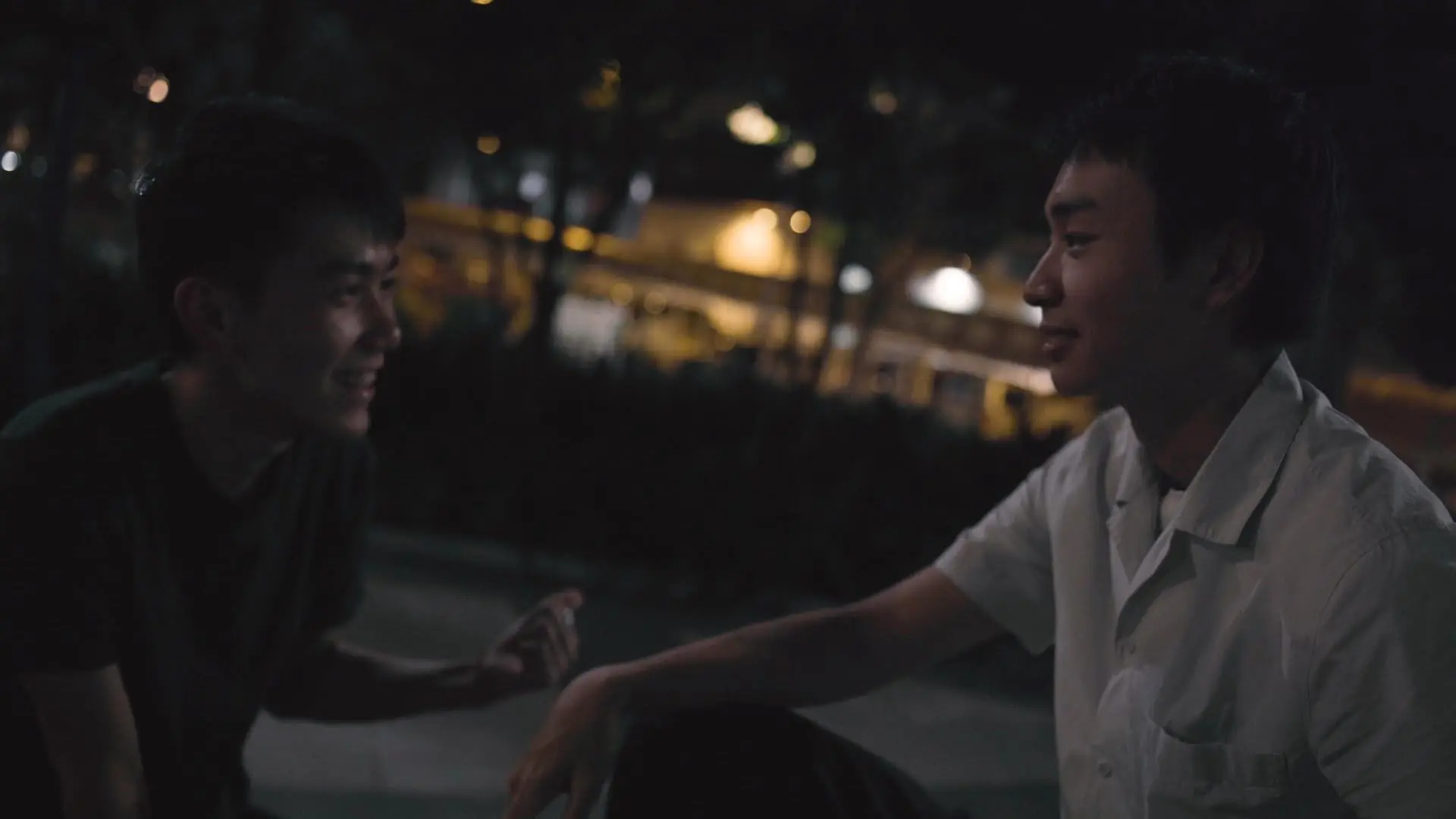 The Moonlight is Shining Tonight backdrop