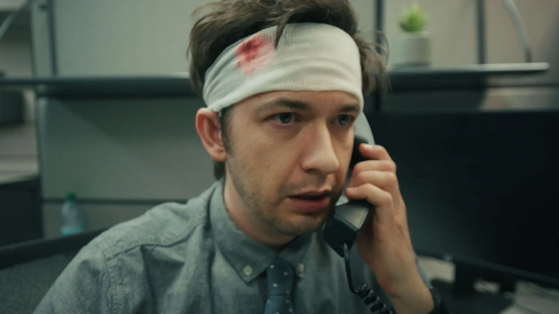 The Dream Job backdrop