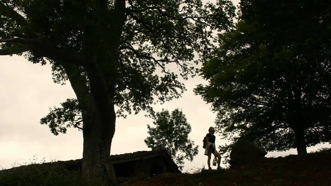 Hitzordu Tokiak backdrop