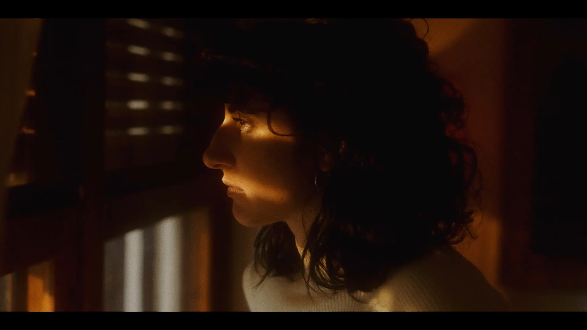 Un pinar salvaje backdrop