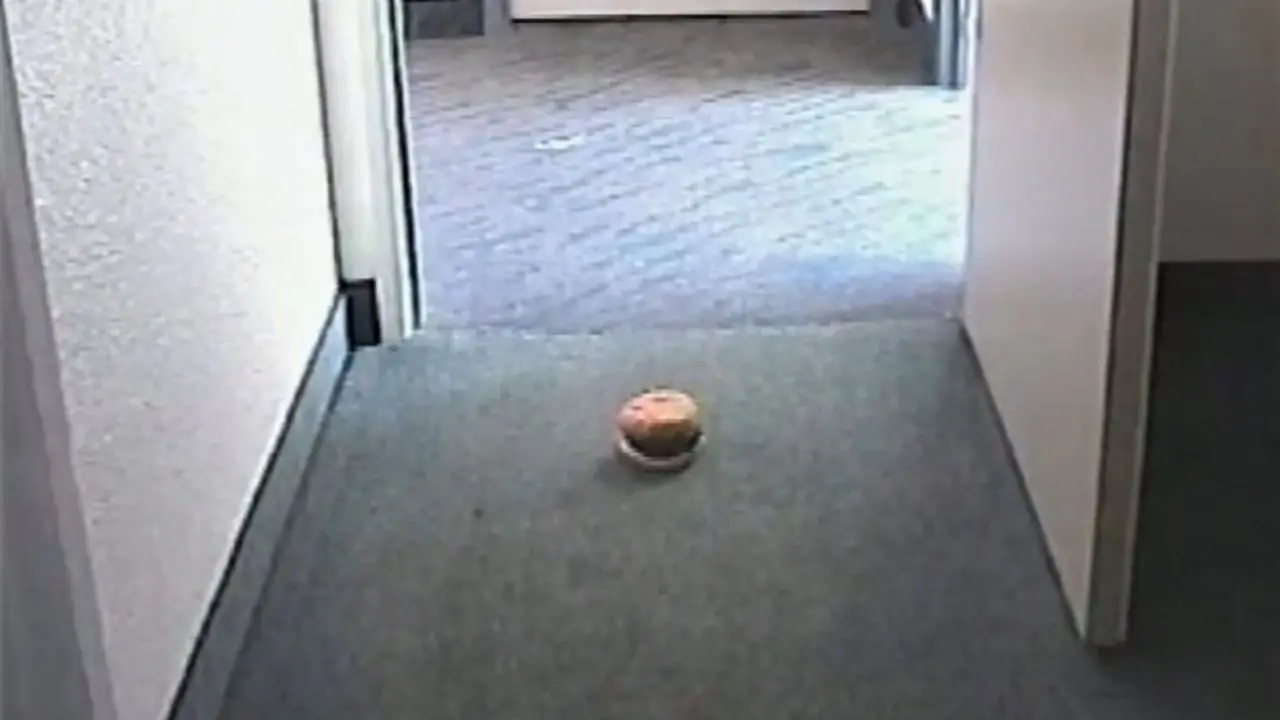 Hamburger Dad backdrop