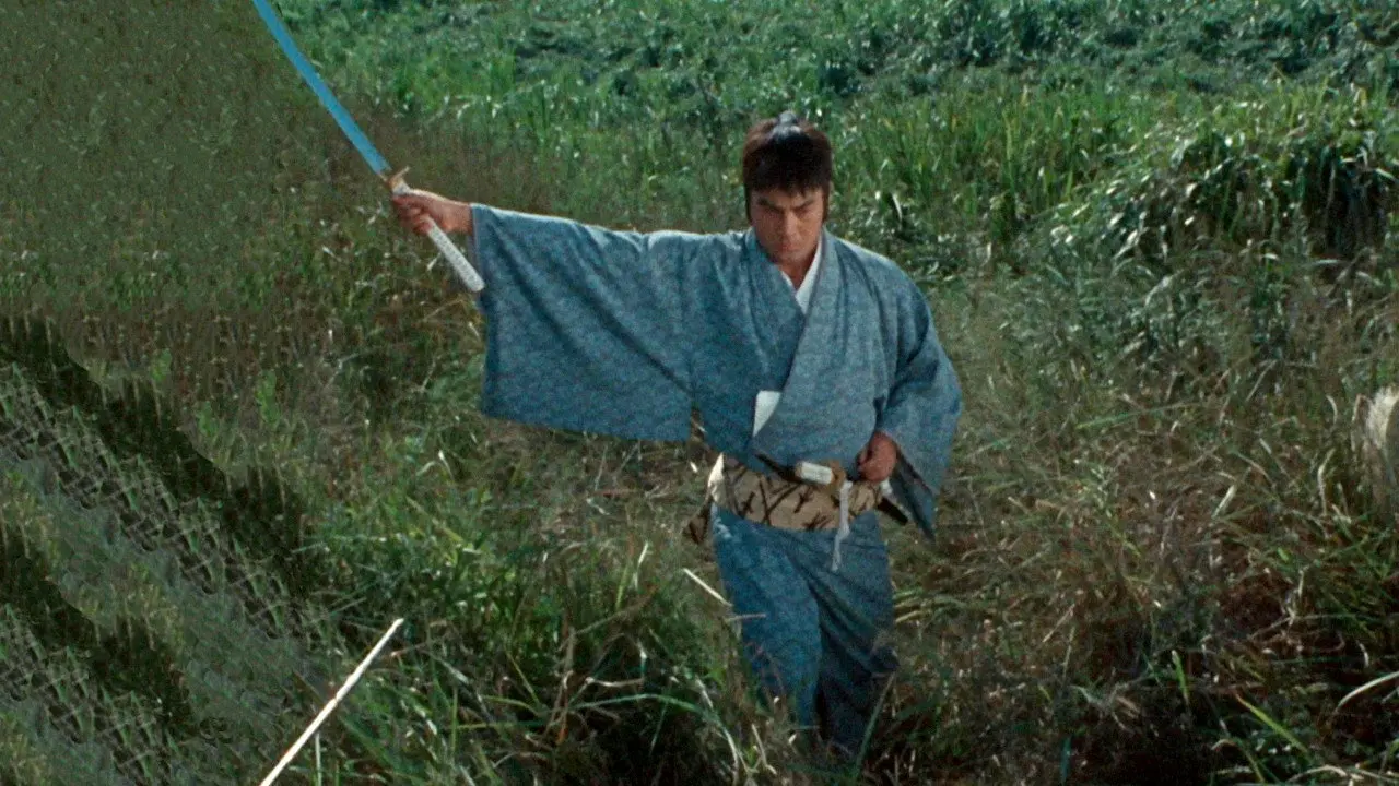 Crescent Scarred Hatamoto backdrop