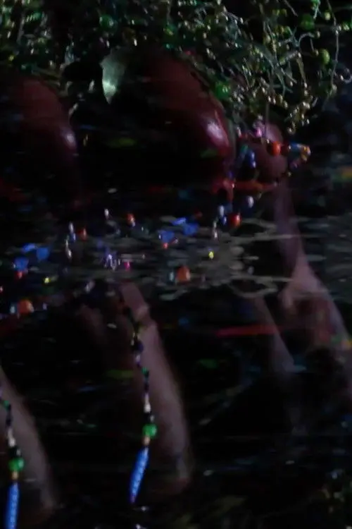 Good Stock On The Dimension Floor: An Opera