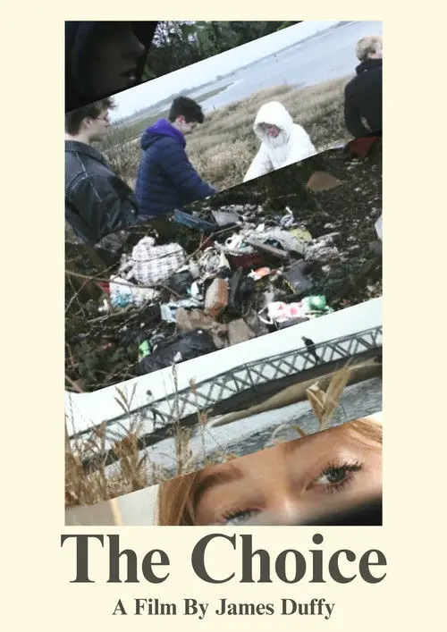 The Choice: Illegal Dumping