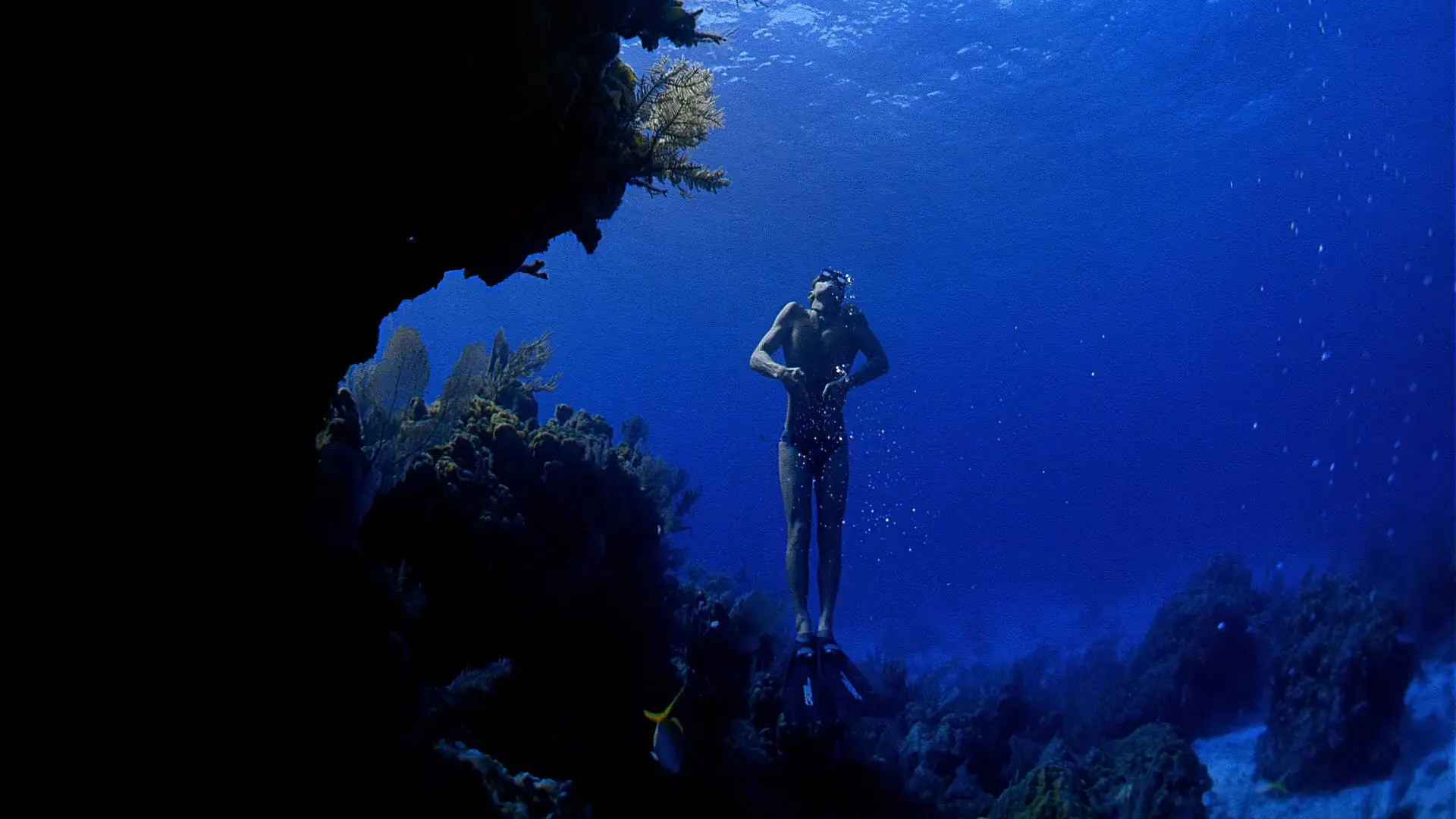 Ocean Men, Extreme Dive backdrop