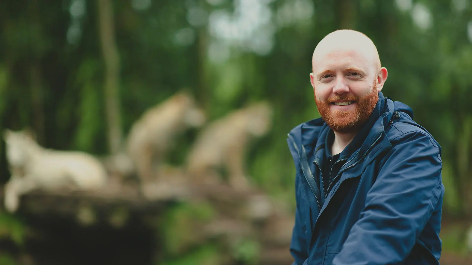 Barra's Wild Days Out backdrop