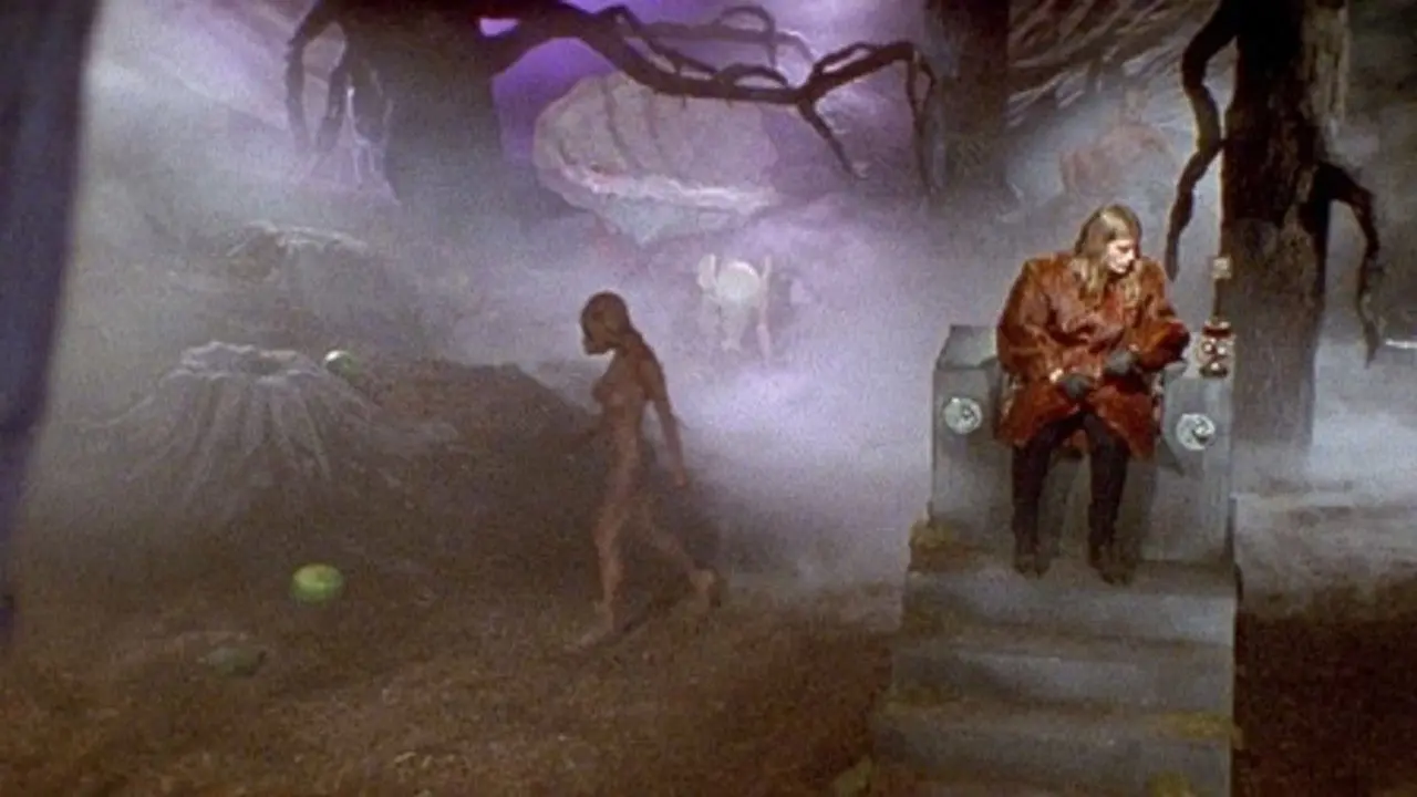 What Is It? backdrop