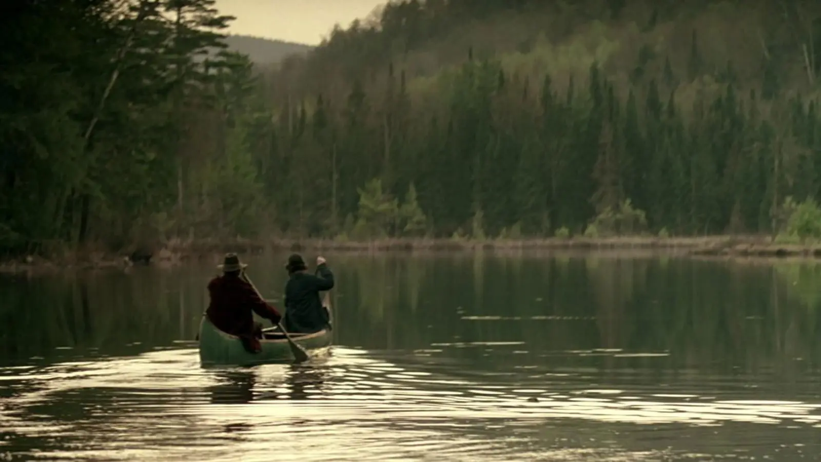 Disappearances backdrop