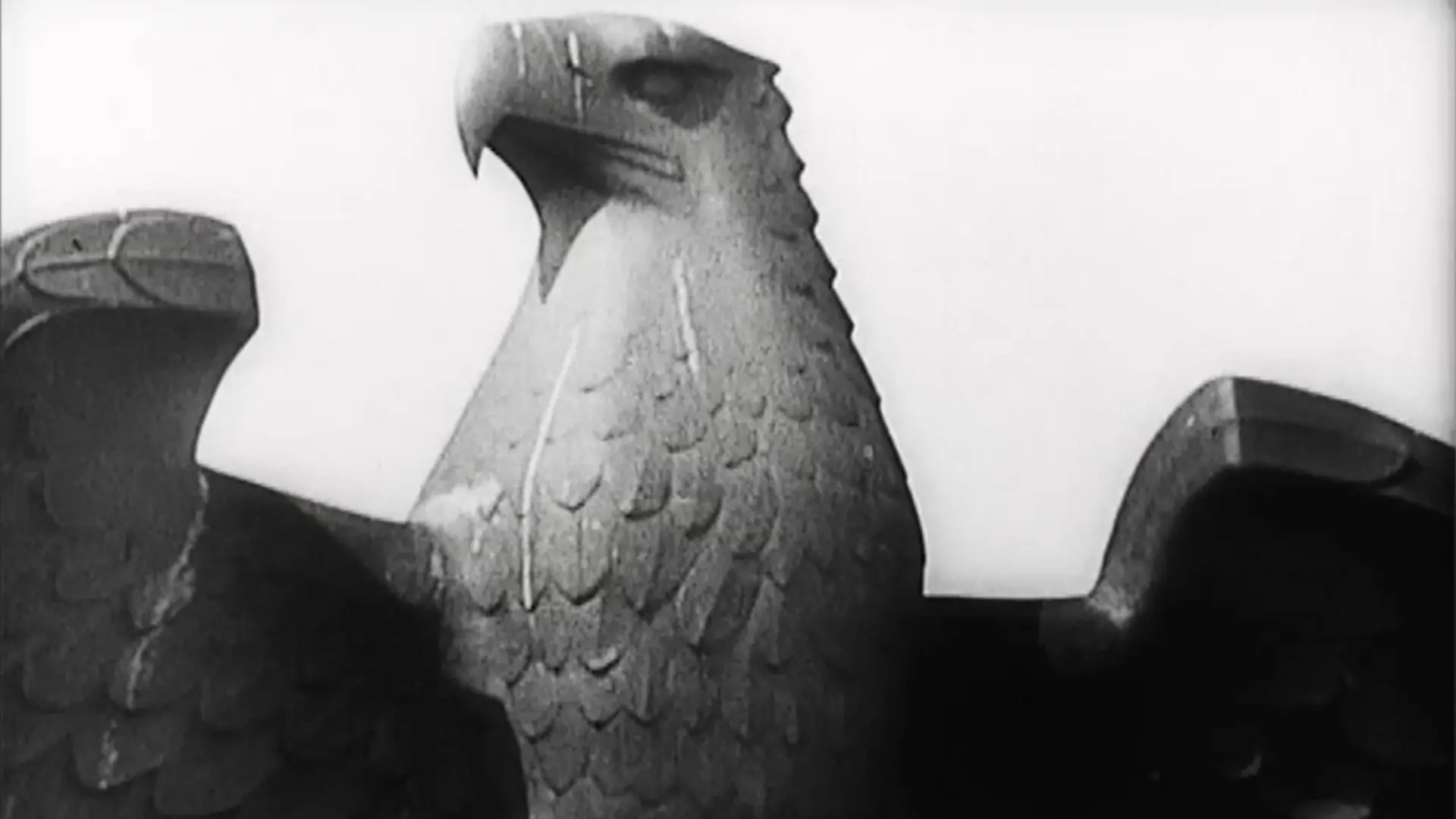 In the Land of Eagles and Crosses backdrop