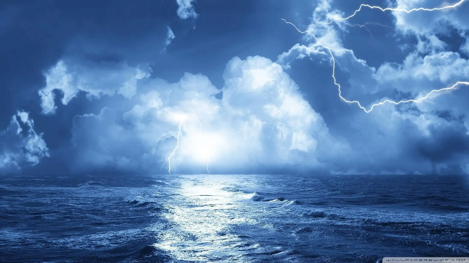 The Blue Cage backdrop