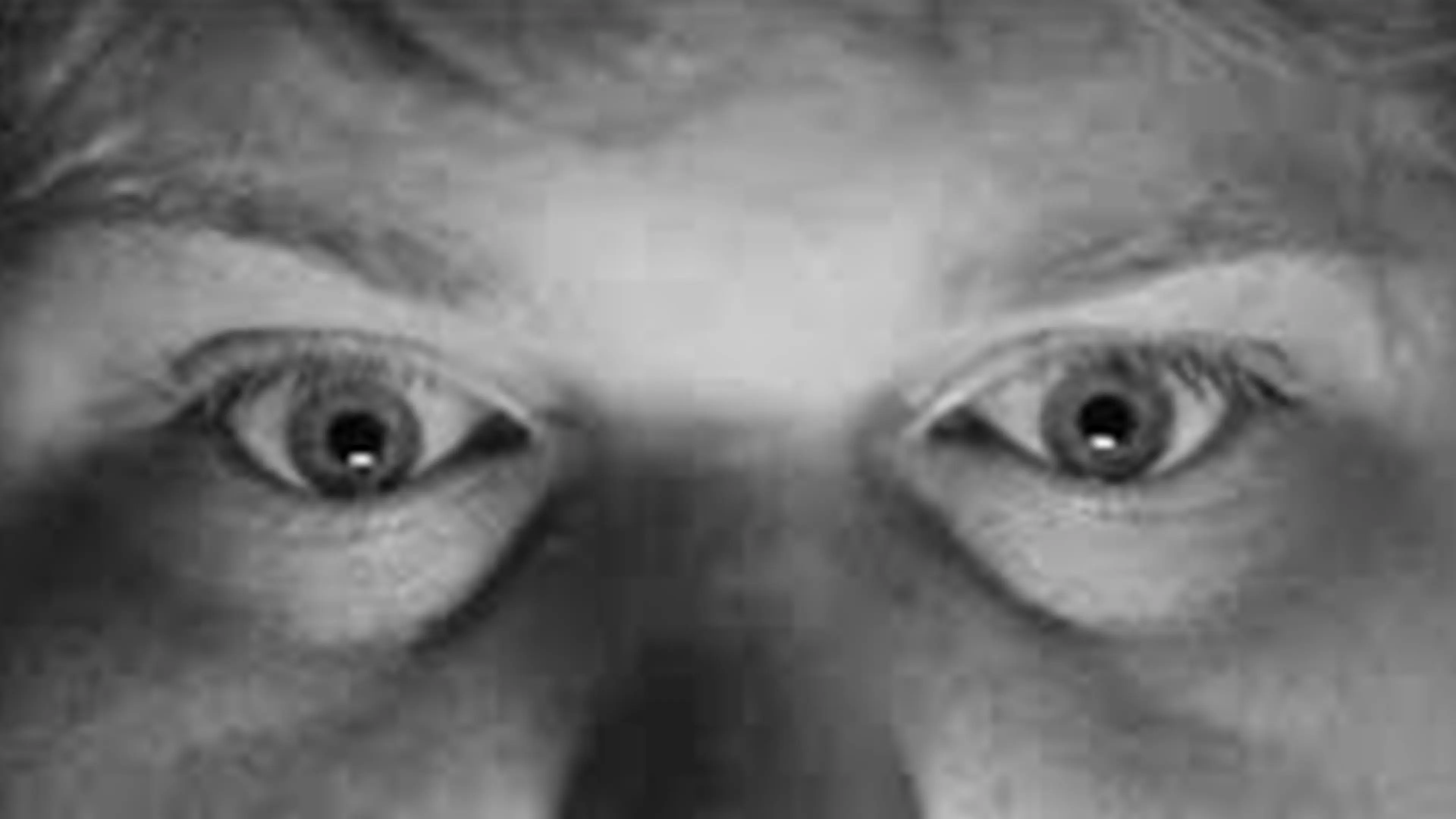 The Murders of Whitney Manor backdrop