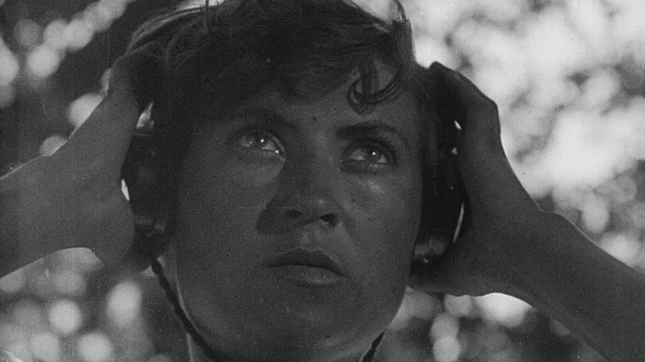 Enthusiasm. Symphony of Donbas backdrop