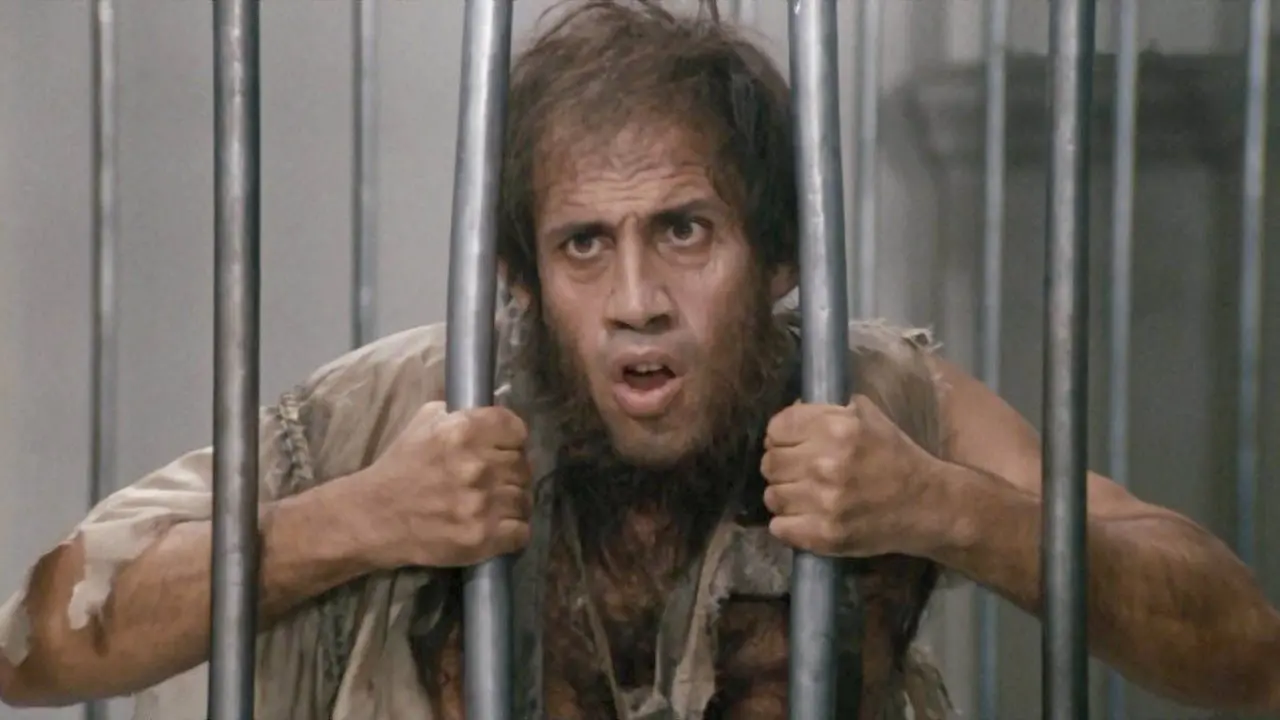 Bingo Bongo backdrop