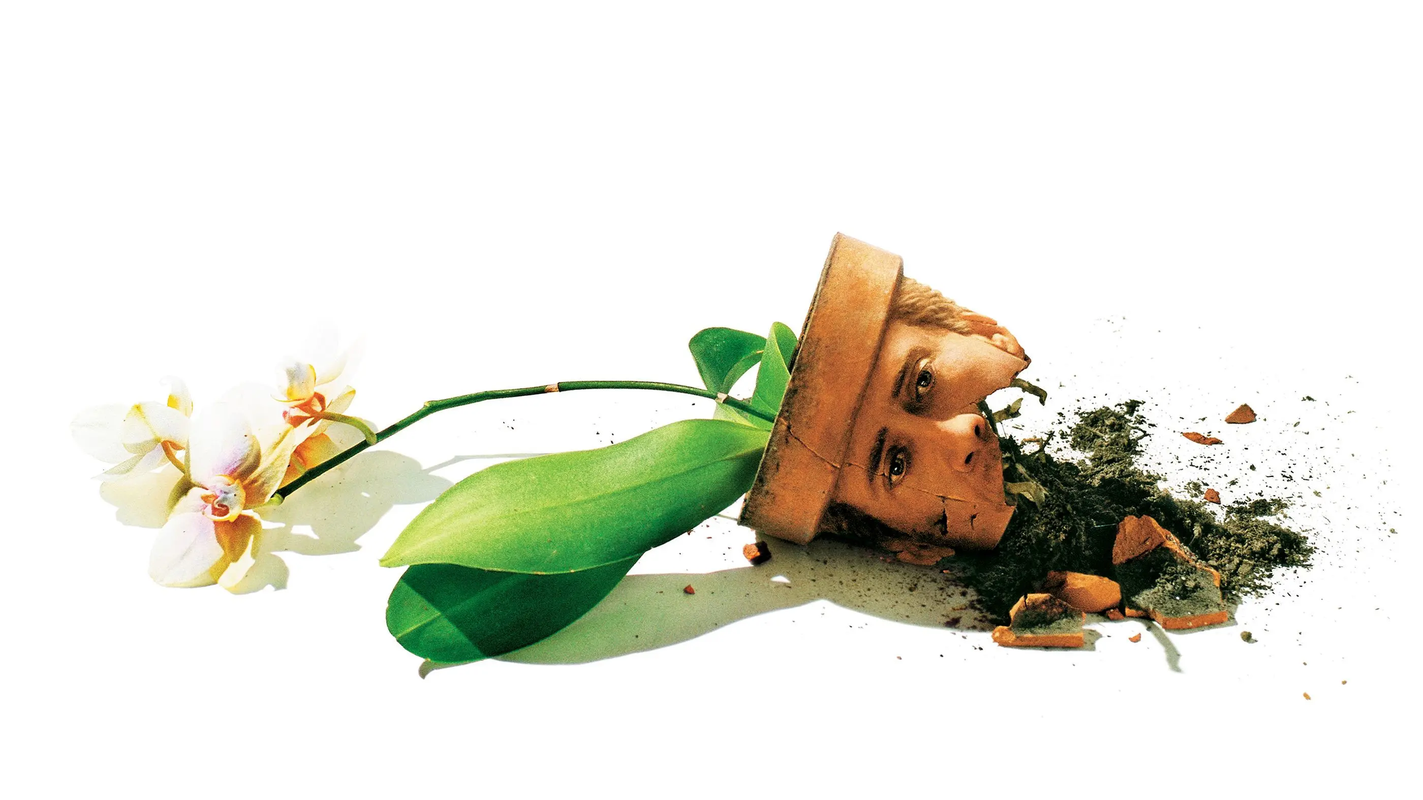 Adaptation. backdrop