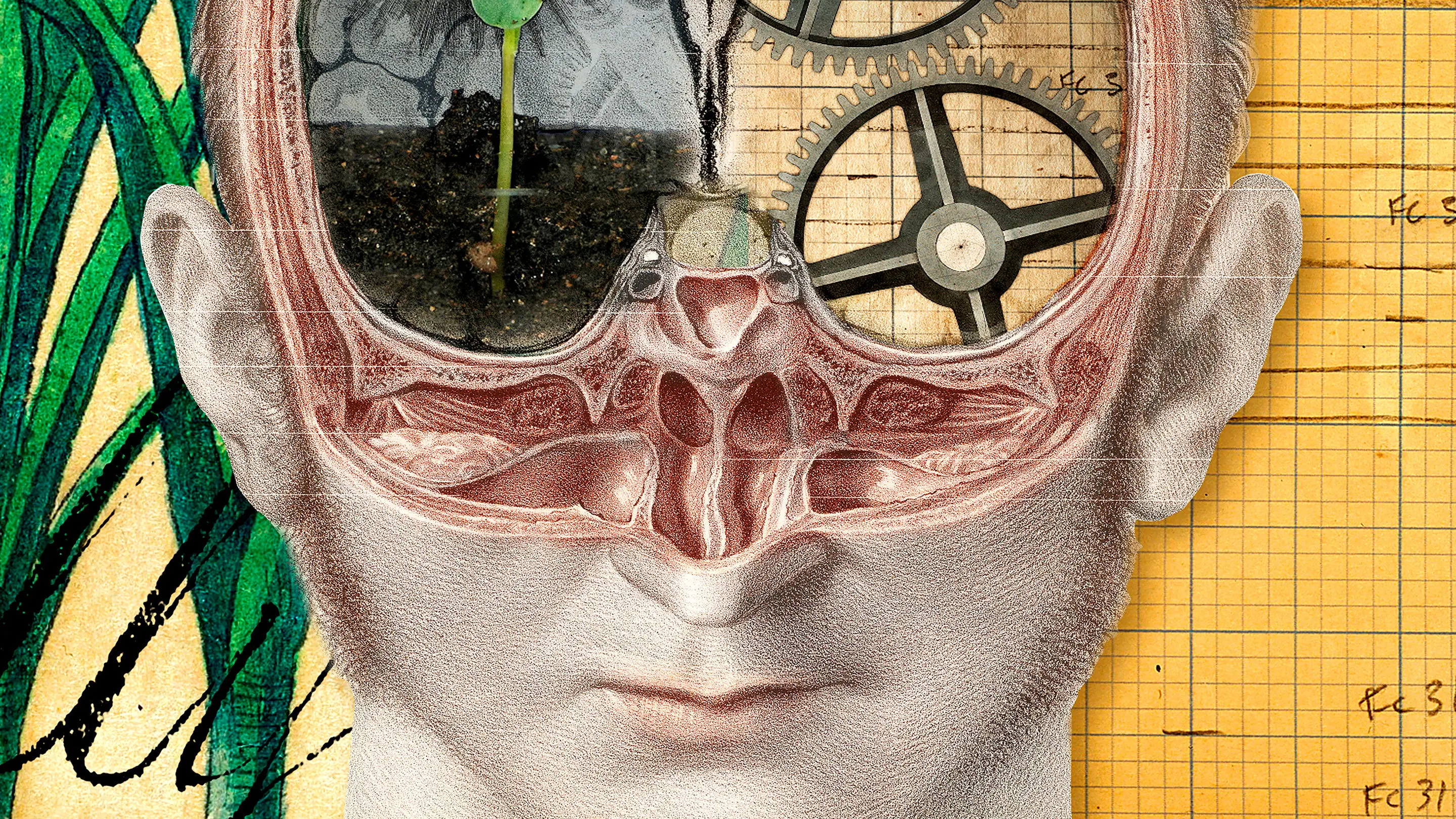 The Divided Brain backdrop