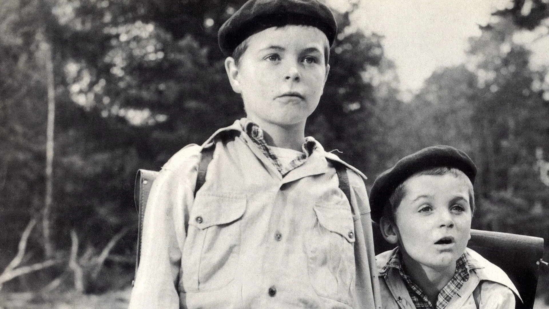 War of the Buttons backdrop