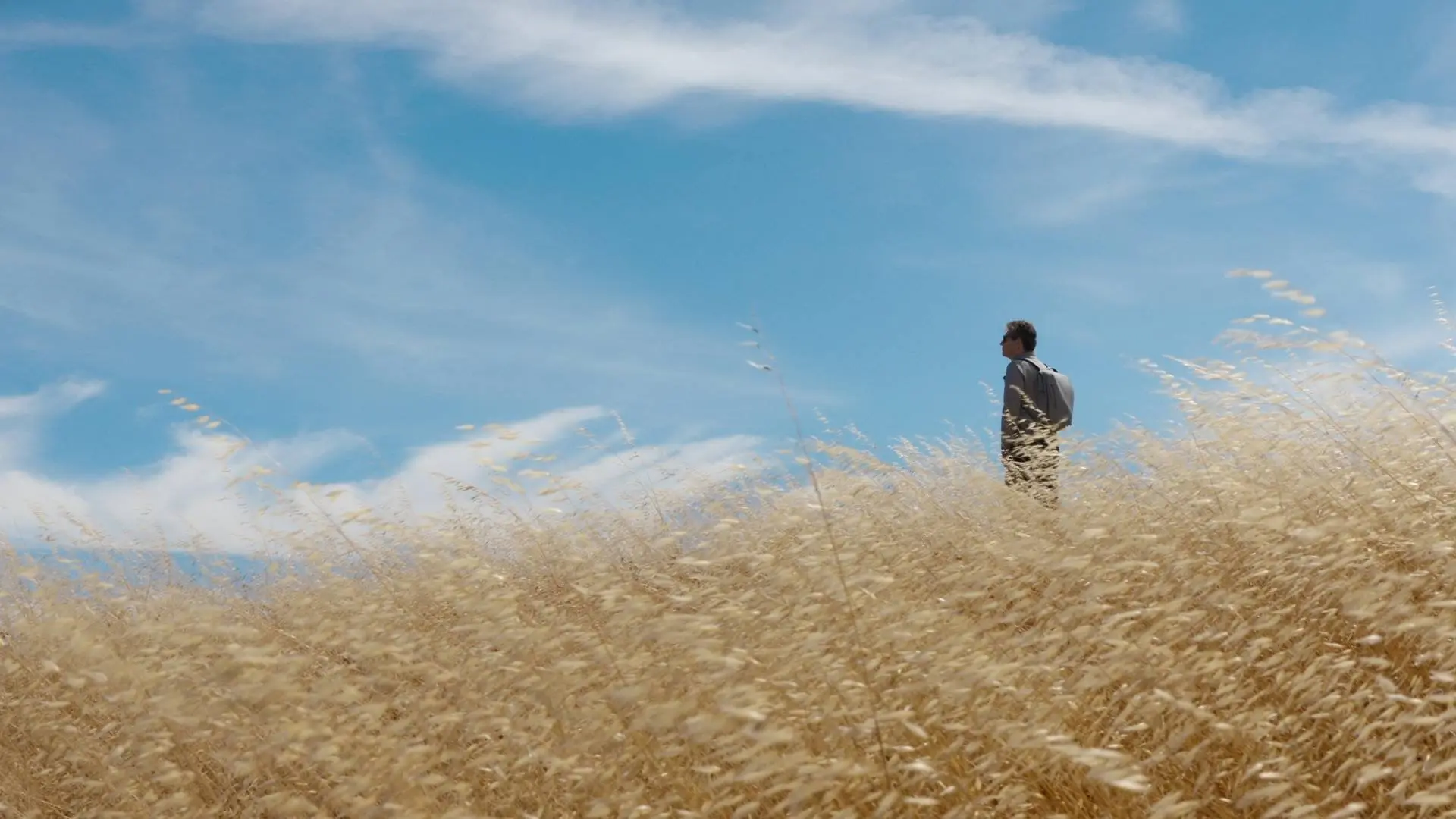 General Magic backdrop