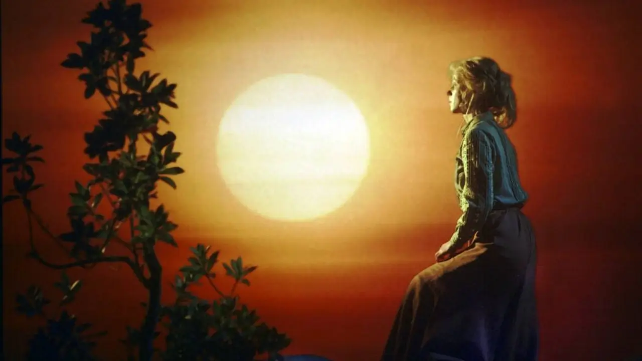 The Prince Beyond the Seven Seas backdrop