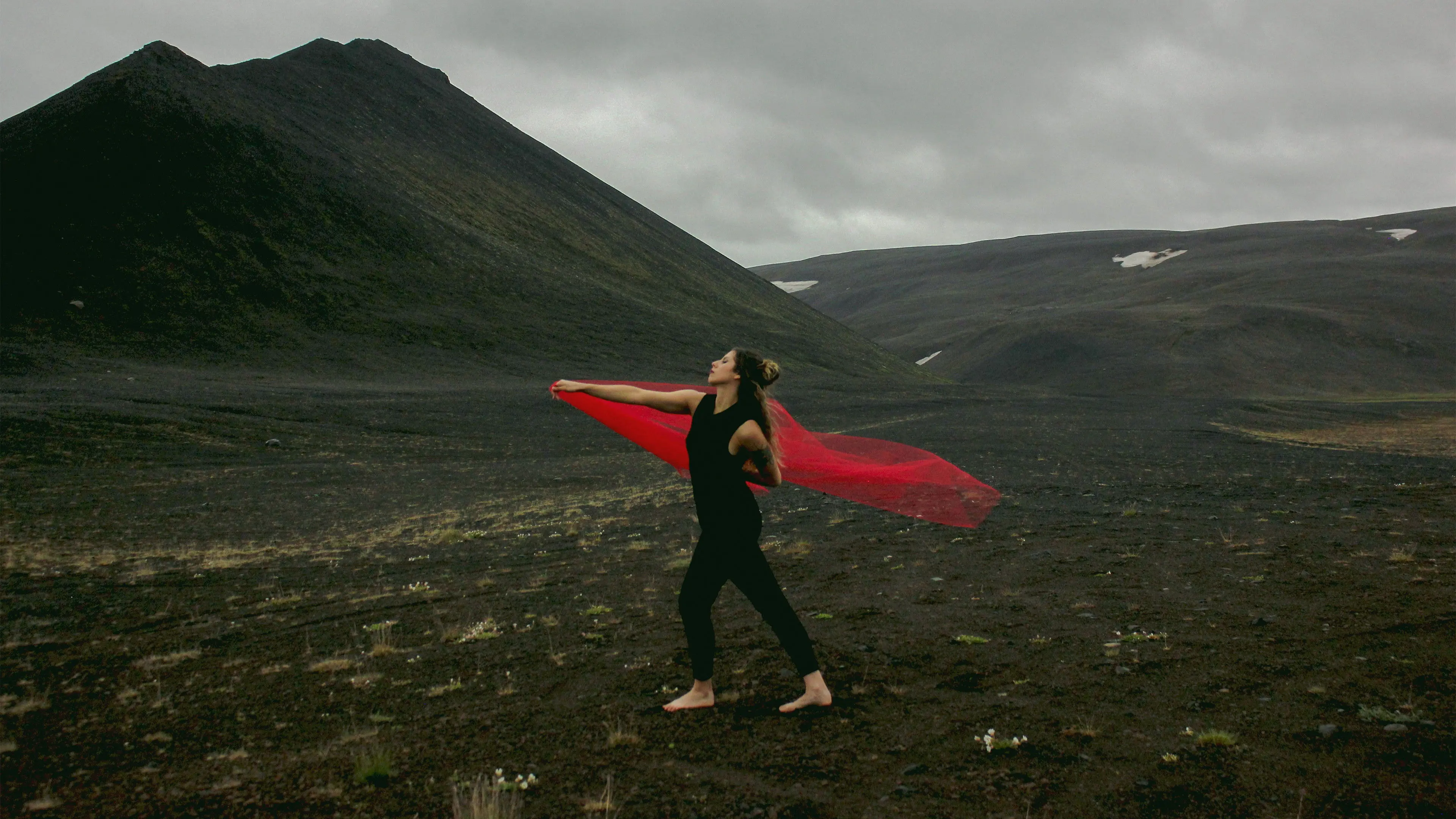 Hidden Eden backdrop