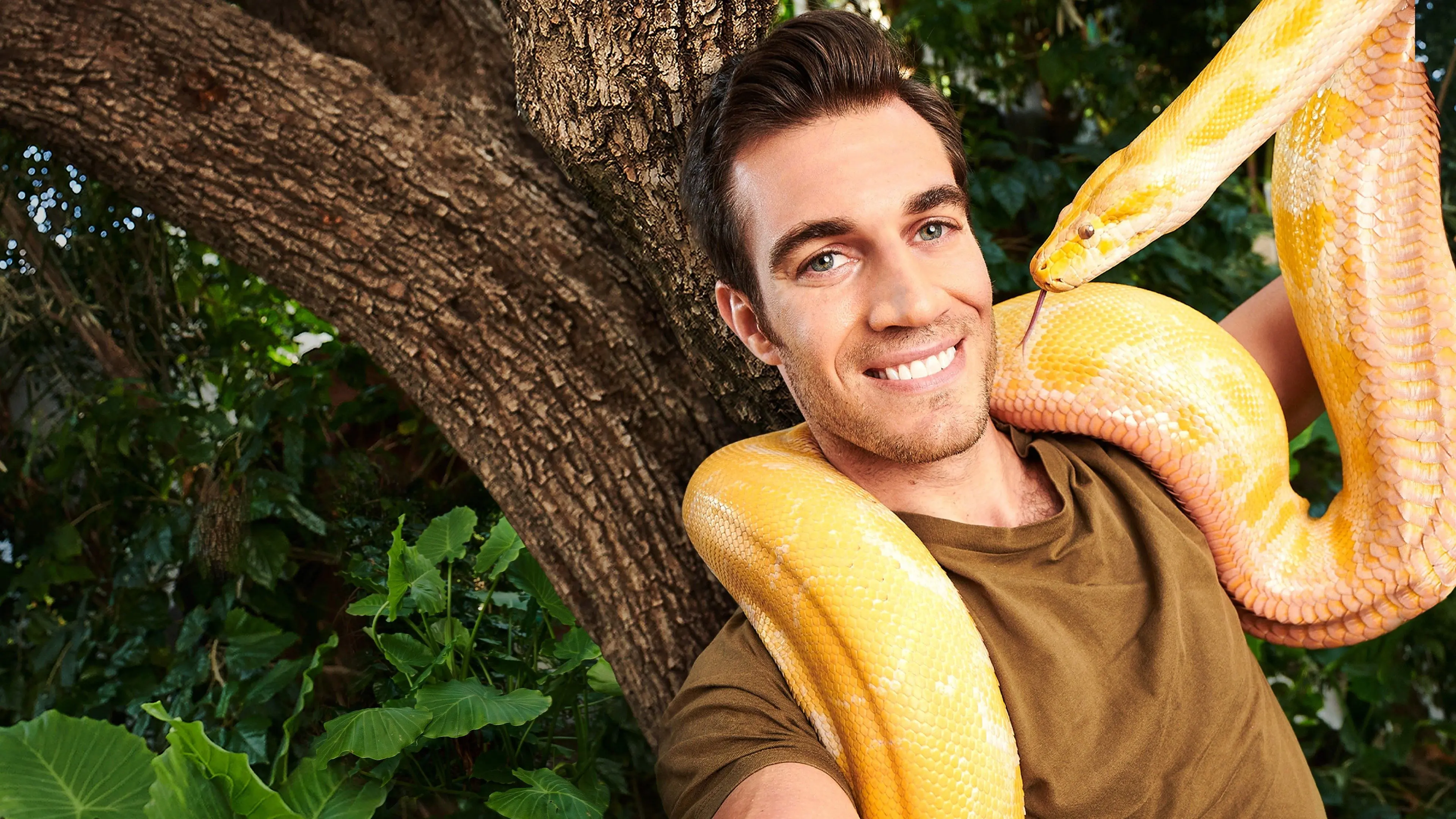 Evan Goes Wild backdrop