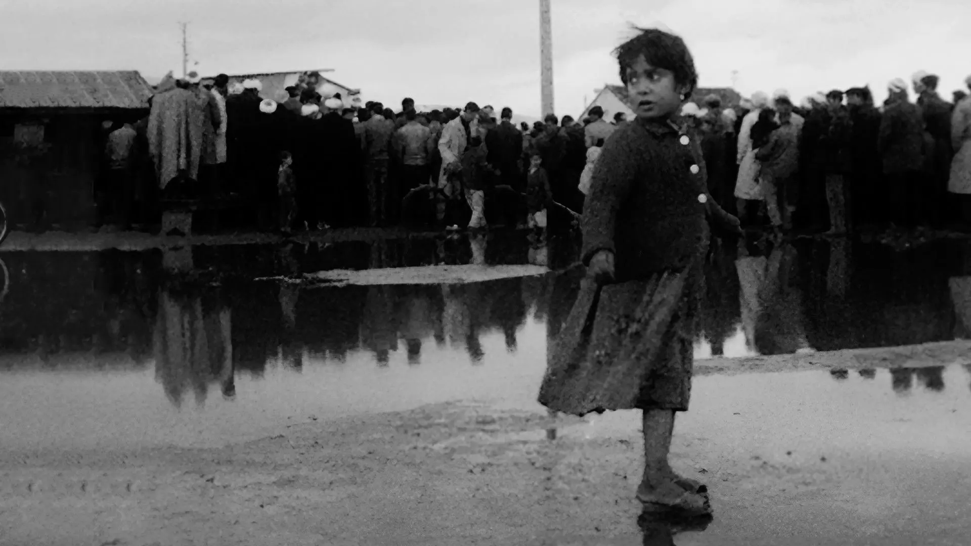 Algeria, Year Zero backdrop