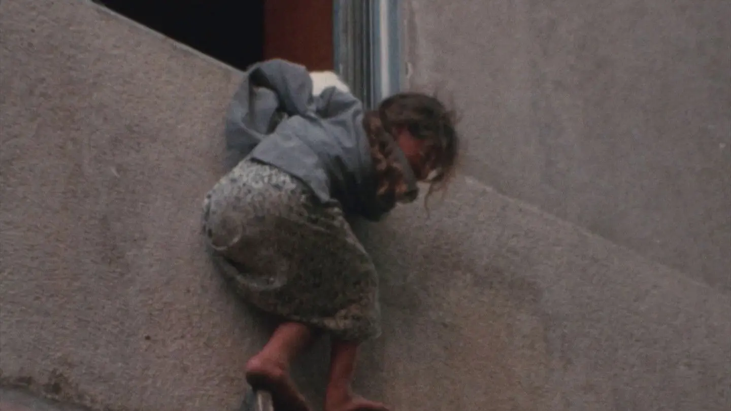 Beirut, Never Again backdrop