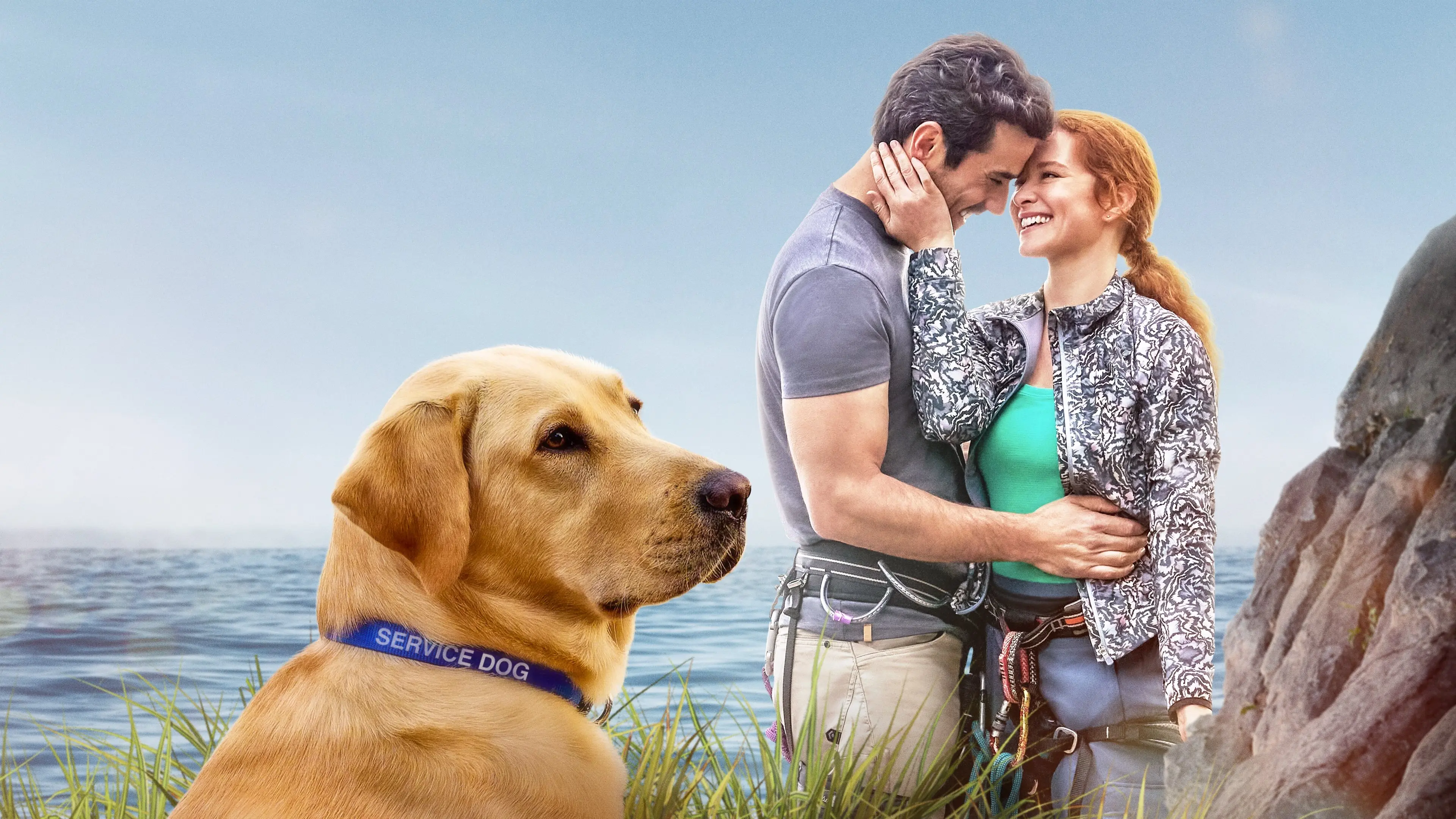 Guiding Emily backdrop